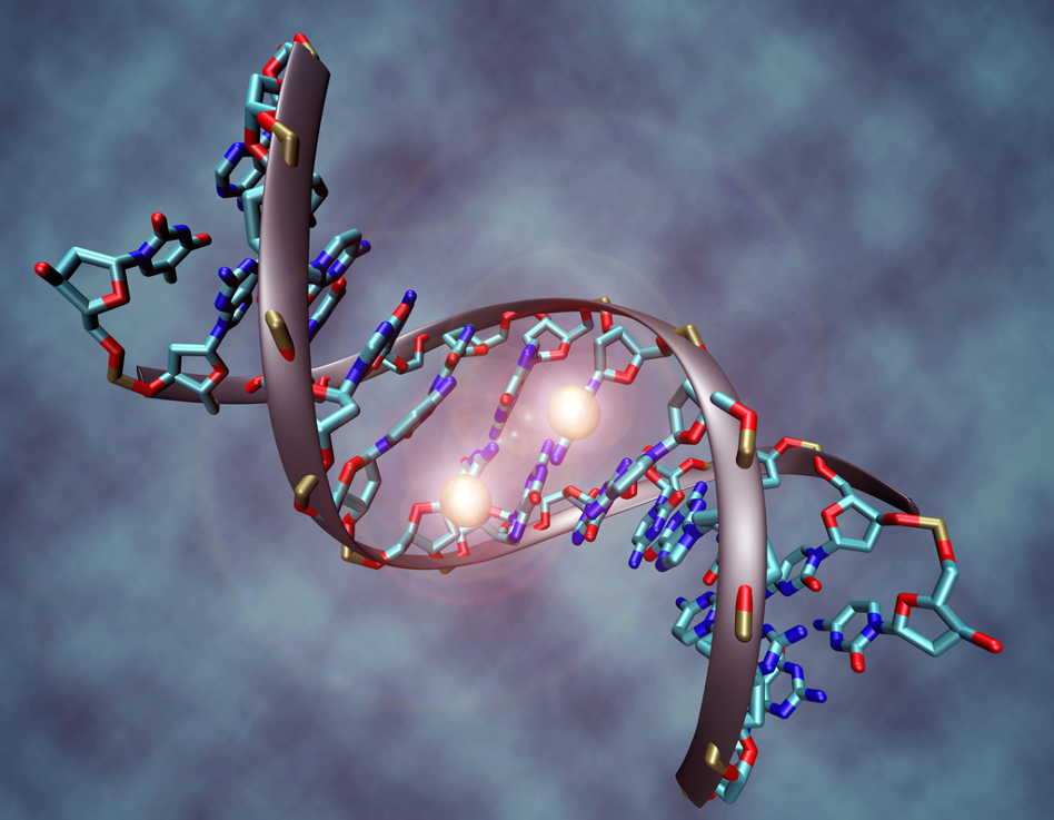 Genetic and molecular research